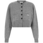 Elisabetta Franchi Cardigan Tricot