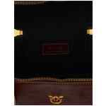 Pinko Vanity Soft Mini Crossbody Bag