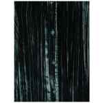Emporio Armani Shirts GREEN