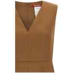 Max Mara Studio Curva Dress