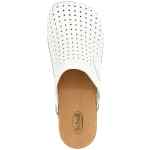 Balenciaga Clog X Scholl Sabots