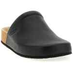 Saboto Balenciaga X Scholl