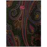 Etro Reversible Paisley Dégradé Cape