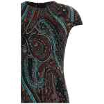 Etro Devoré Velvet Dress