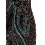 Etro Devoré Velvet Dress